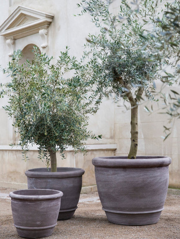Campana - Grey - XL